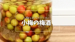 小梅で梅酒漬けに挑戦！